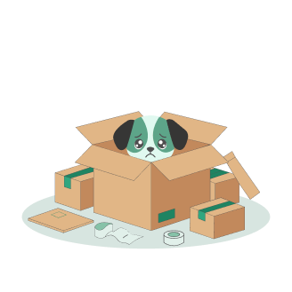 Empty Basket