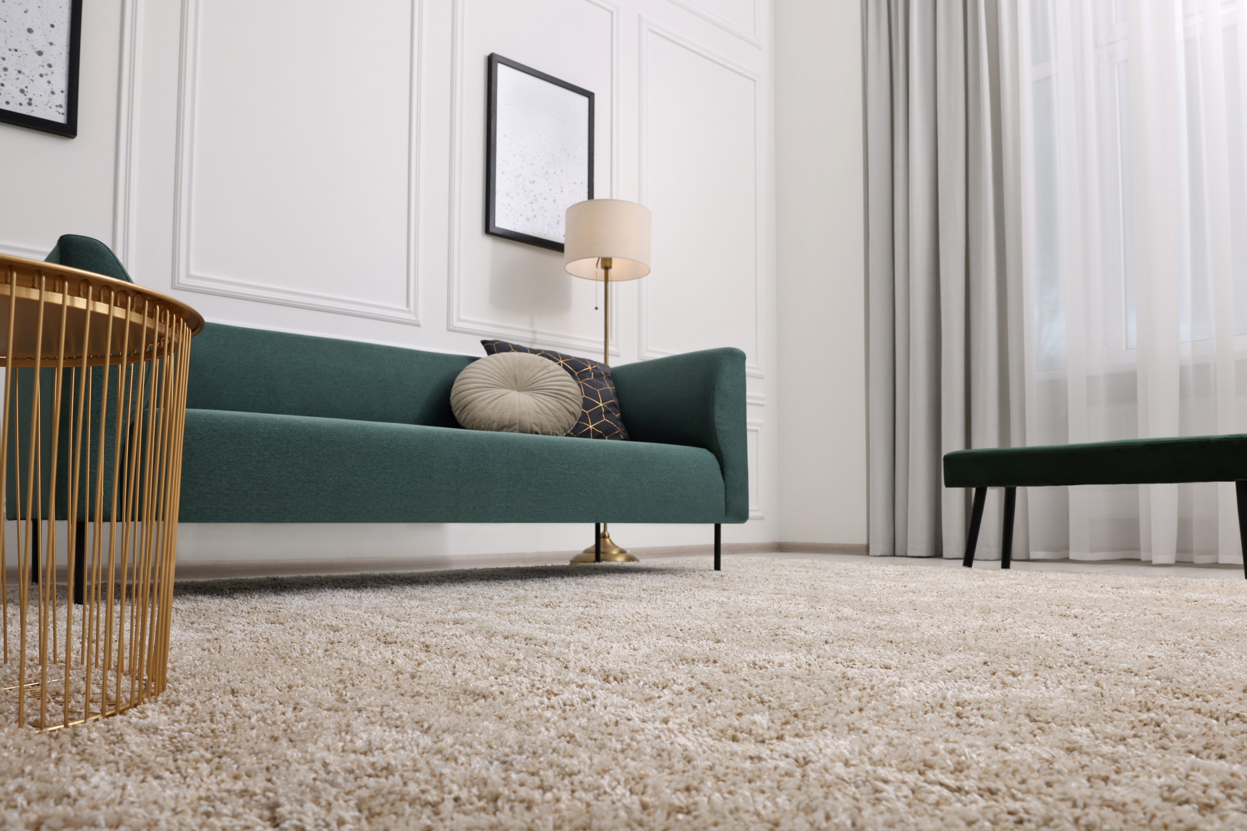 Modern living room with a green sofa and carpet flooring