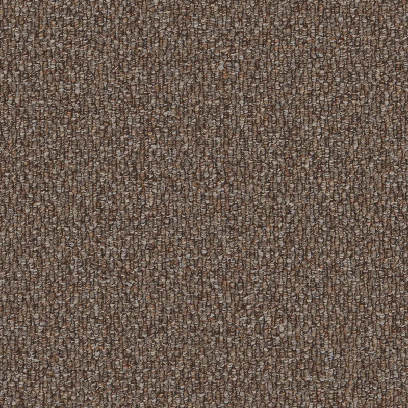 2206 Sepia