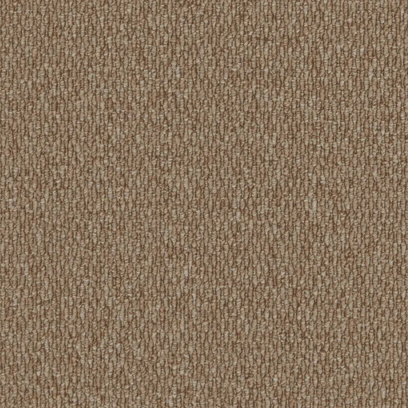 2207 Shifting Sands
