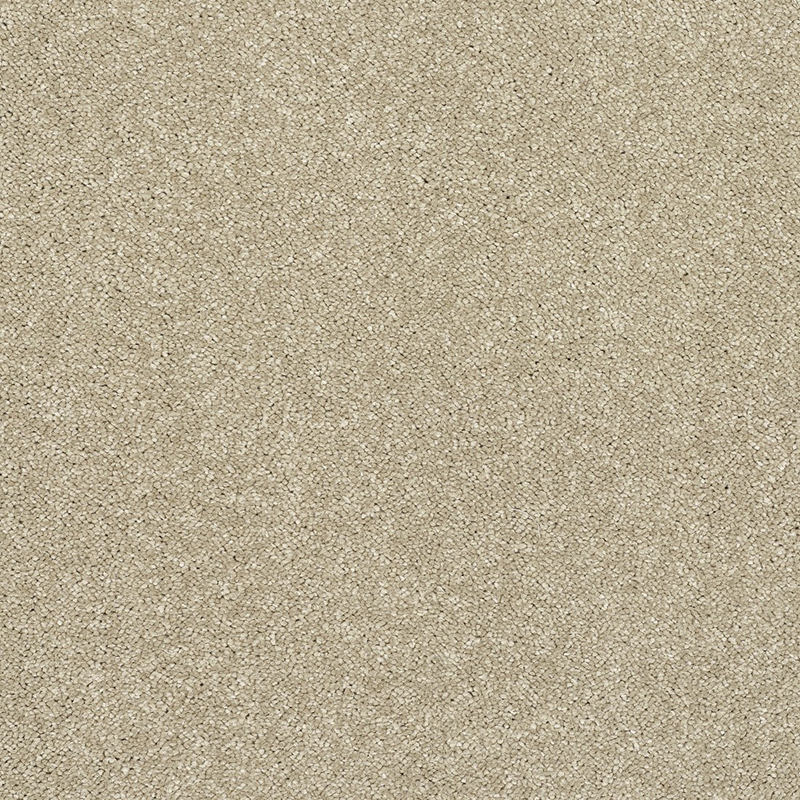 Latte 08