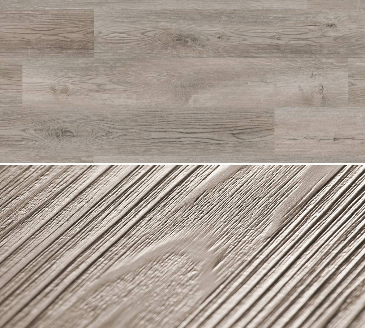 Ordesa Oak