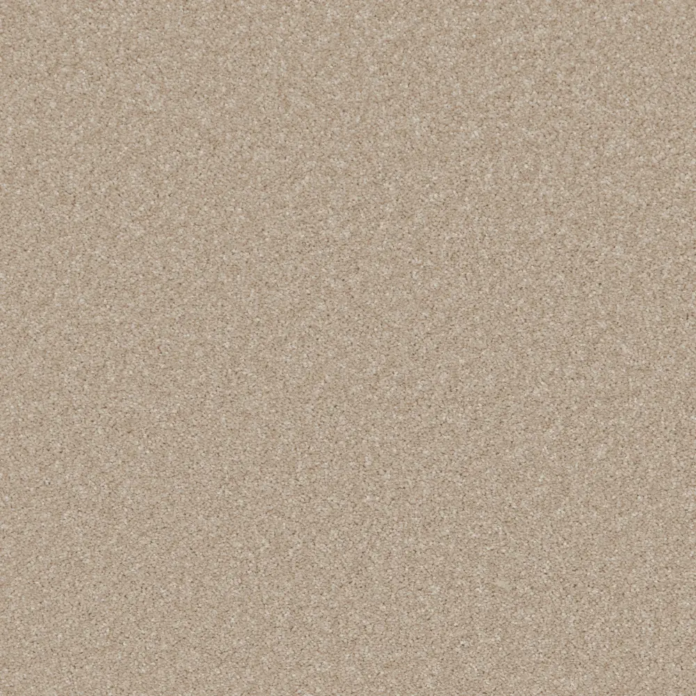 Alpaca 2169