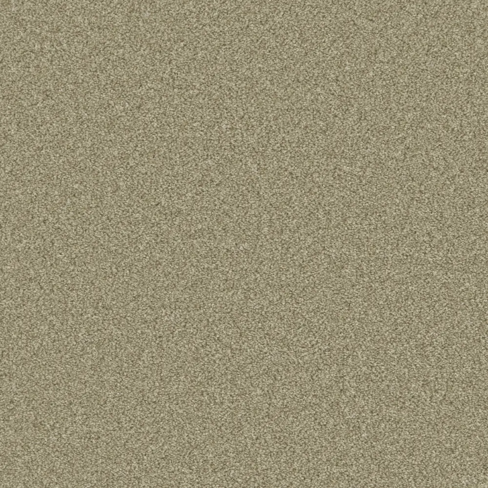 Olive 2166