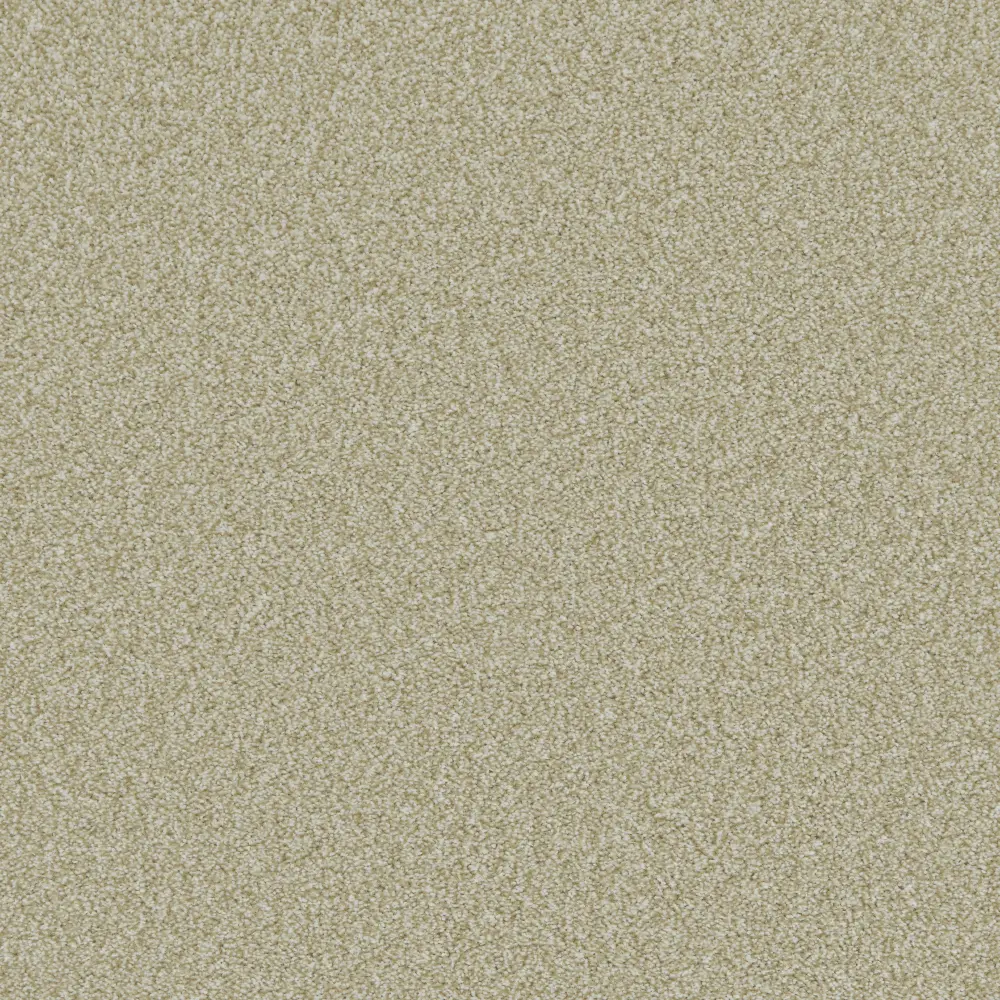 Opal 2165