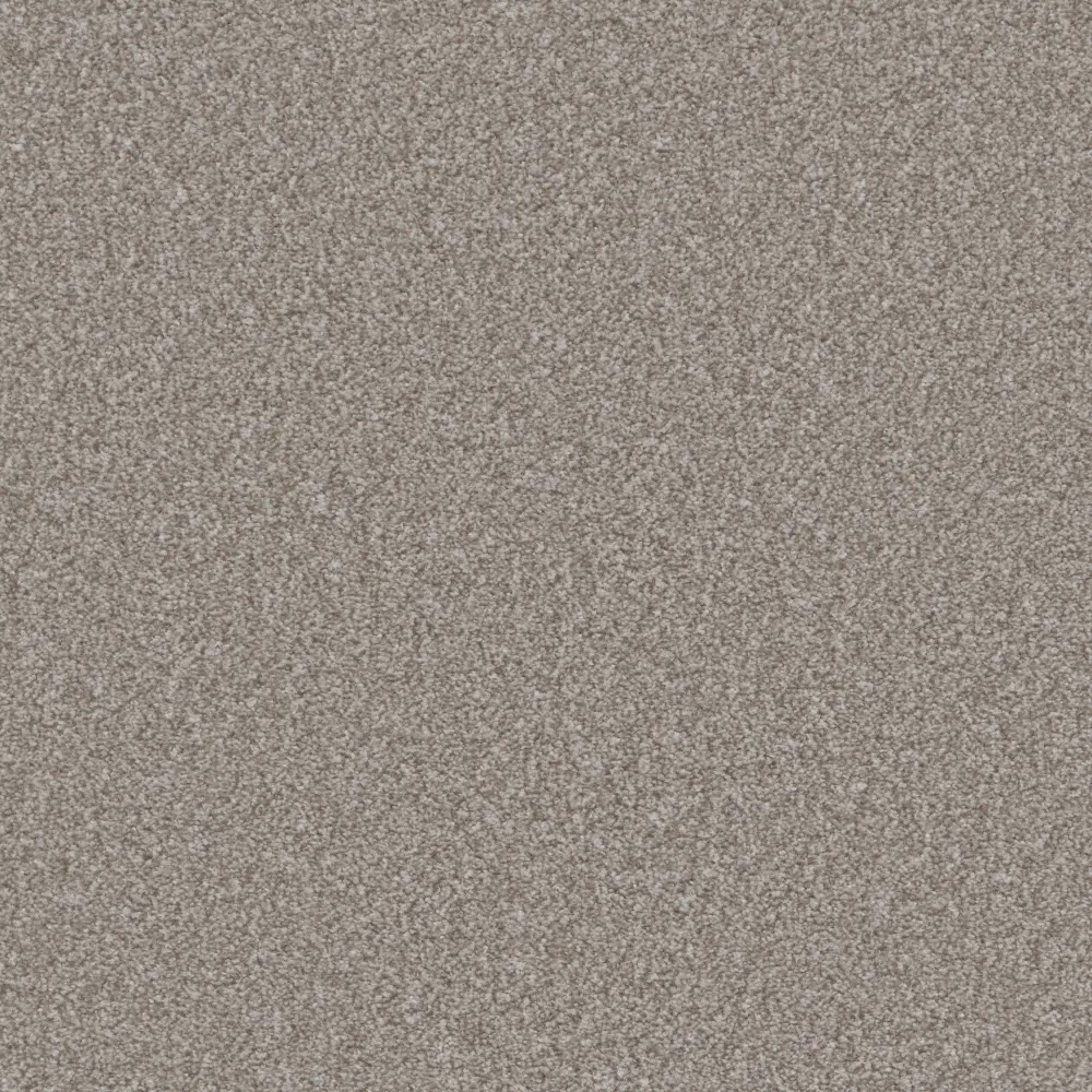Truffle 2170