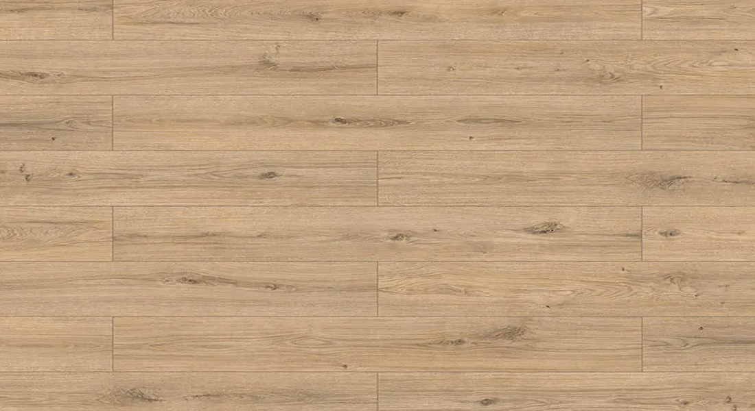 Sand Oak