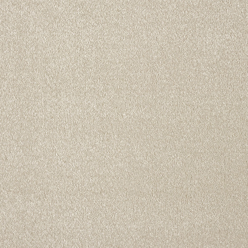 36 Camel