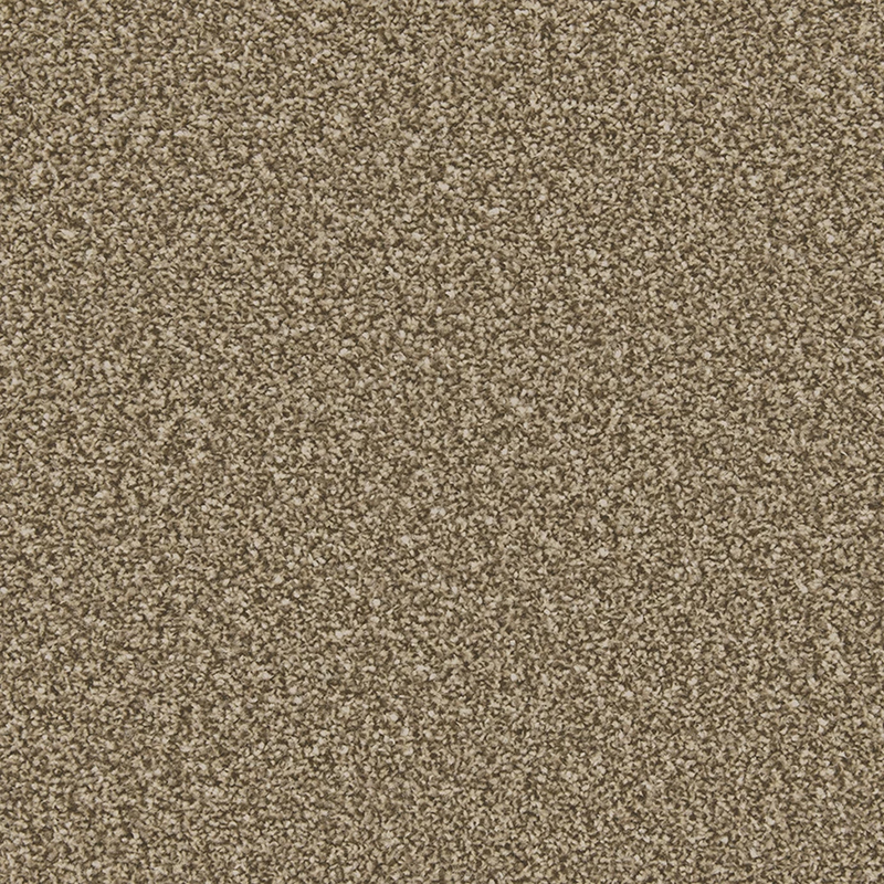 Cork Oak Overhead