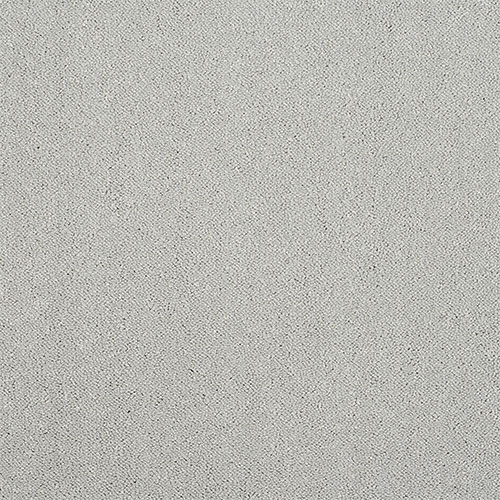 Tundra Frost