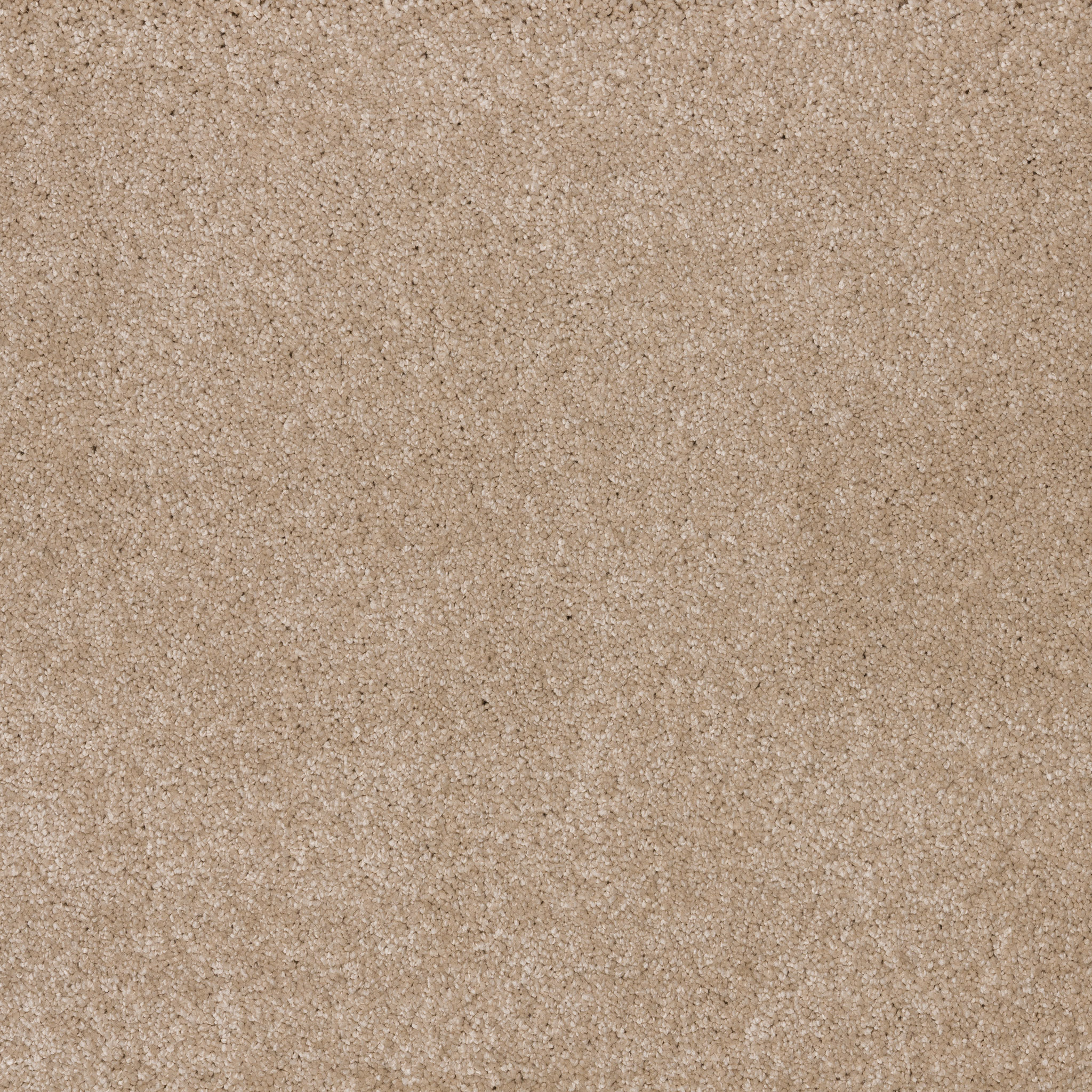 Canvas 968