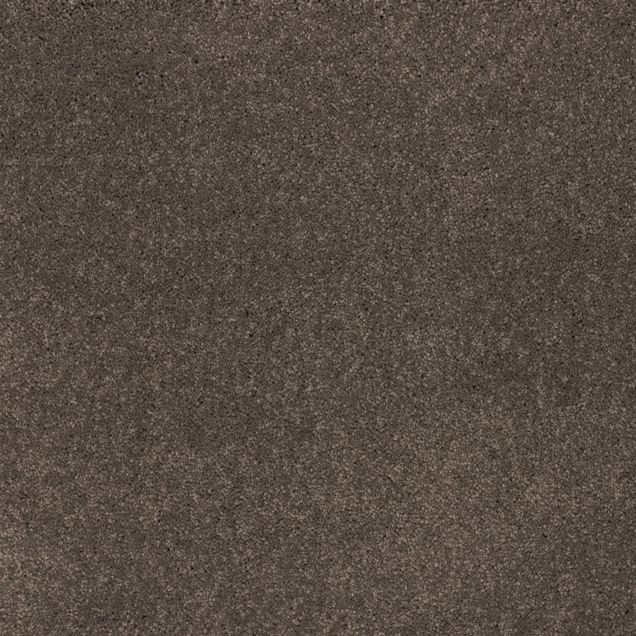 Cool Charcoal 967