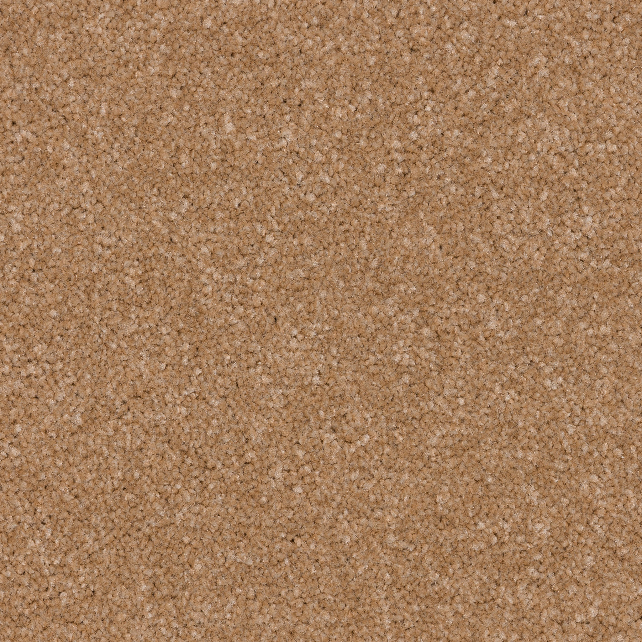 Rosa Beige